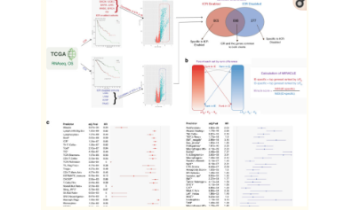 7+免疫激活與免疫抑制聯(lián)合分析方法