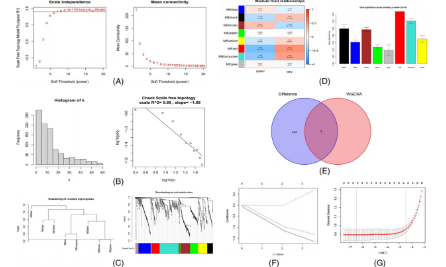 WGCNA是如和助力介入治療的？