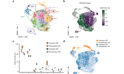 38+無可挑剔的單細胞癌癥并發癥研究