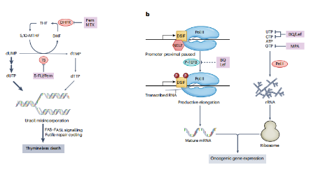最新高分熱點來襲，不看后悔