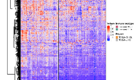 《Clinical Cancer Research》十一月最新—基于肝細胞膽管聯合癌免疫圖譜識別的亞型分型、基因特征標簽對免疫治療預測的重要意義