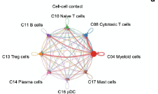 轉錄組數據結合單細胞數據構建預后模型可發8+SCI
