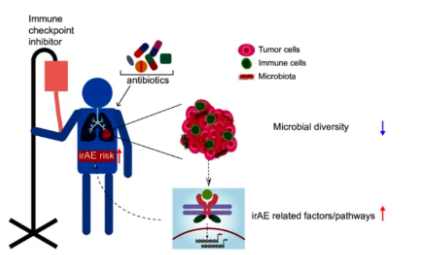 SXR202204004C10種免疫檢查點抑制劑相關的irAEs的發生率，meta分析告訴你！
