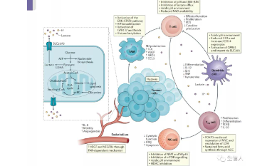 乳酸純生信思路首發(fā)，限時搶購中