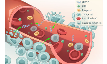 血小板：功夫在生信之外