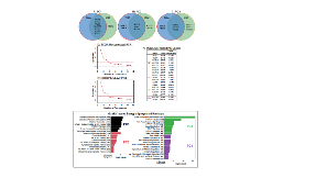 胰腺導(dǎo)管腺癌粘蛋白生信分析新思路