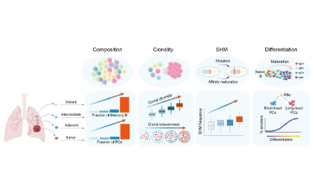 IF=38+的高質量單細胞分析文章