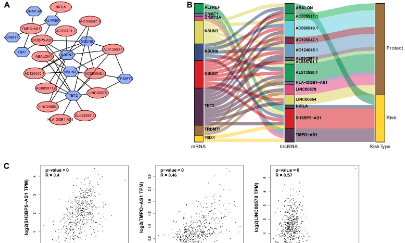 6+生信文：教你如何做m5C對癌癥預后的評估