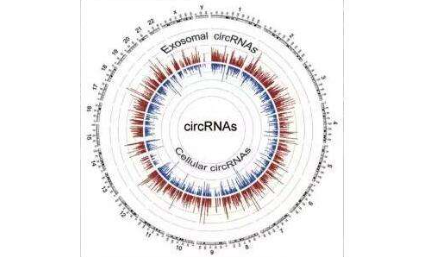 癌癥標(biāo)志物界的后起之秀了解一下？