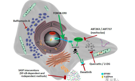 跨越兩千年的國自然熱點