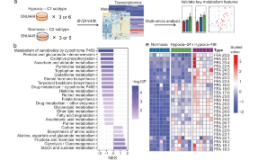 緊跟國自然熱點研究方向，“腫瘤免疫與腫瘤代謝”如何做到16+