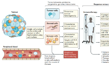 熱點新CP：單細胞技術+癌癥免疫治療