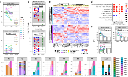單細胞轉錄組測序揭示川崎病治療前后變化