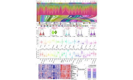 都2022年了預后還可以發10+