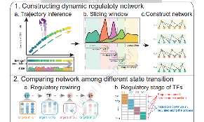 如何用簡單分析講好單細胞故事？