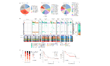 速來(lái)圍觀！41+的癌癥生存分析