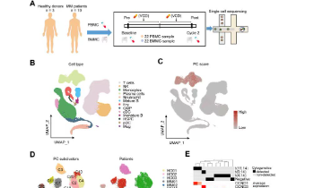 一文了解藥物敏感性和臨床結局的分子機制研究思路