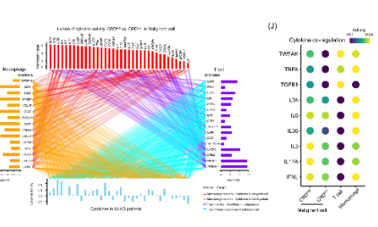 如火如荼的空間轉錄組，你拿捏了嗎？  — 泛癌分析揭示癌細胞的出現機制
