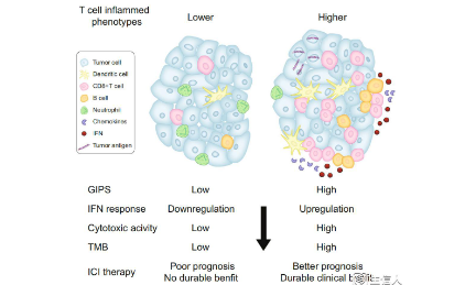 做研究就要另辟蹊徑
