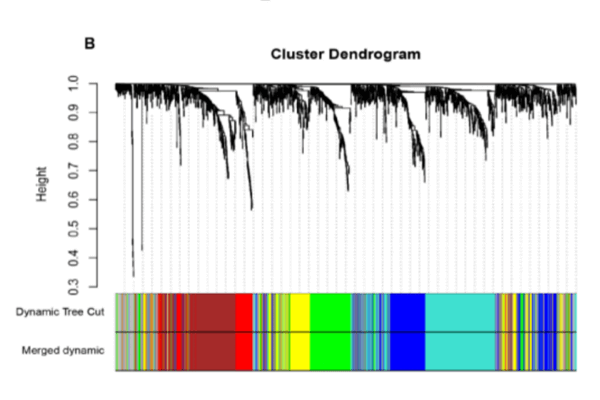 核心基因流程測試服務(wù)