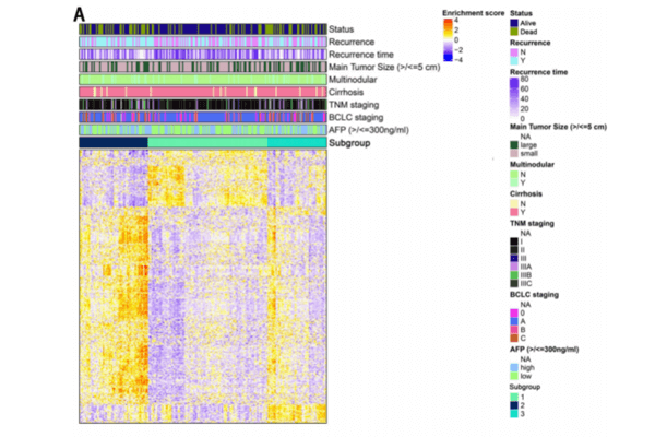 分型預(yù)后流程測試服務(wù)
