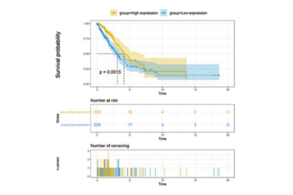 經(jīng)典標(biāo)志物篩選